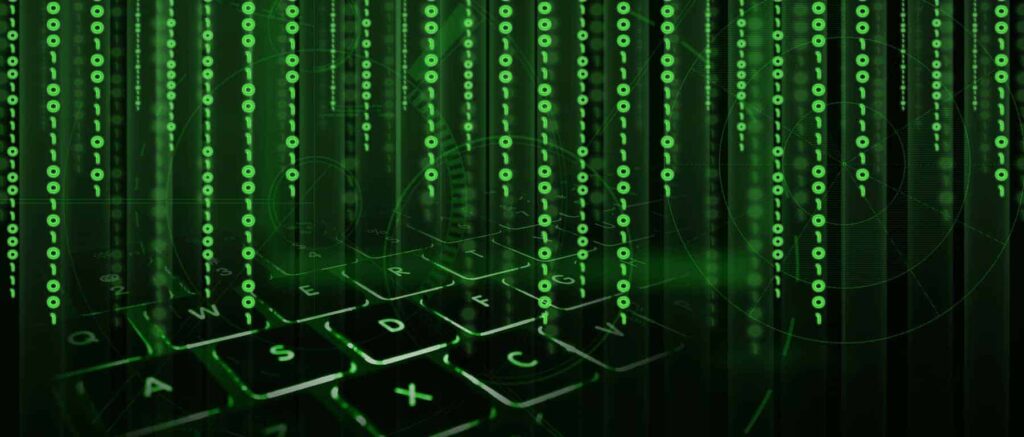 WordPress Plugin Developer in South Africa